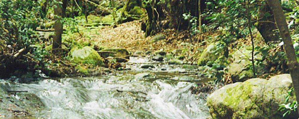 In my dreams alone, I imagined such a place